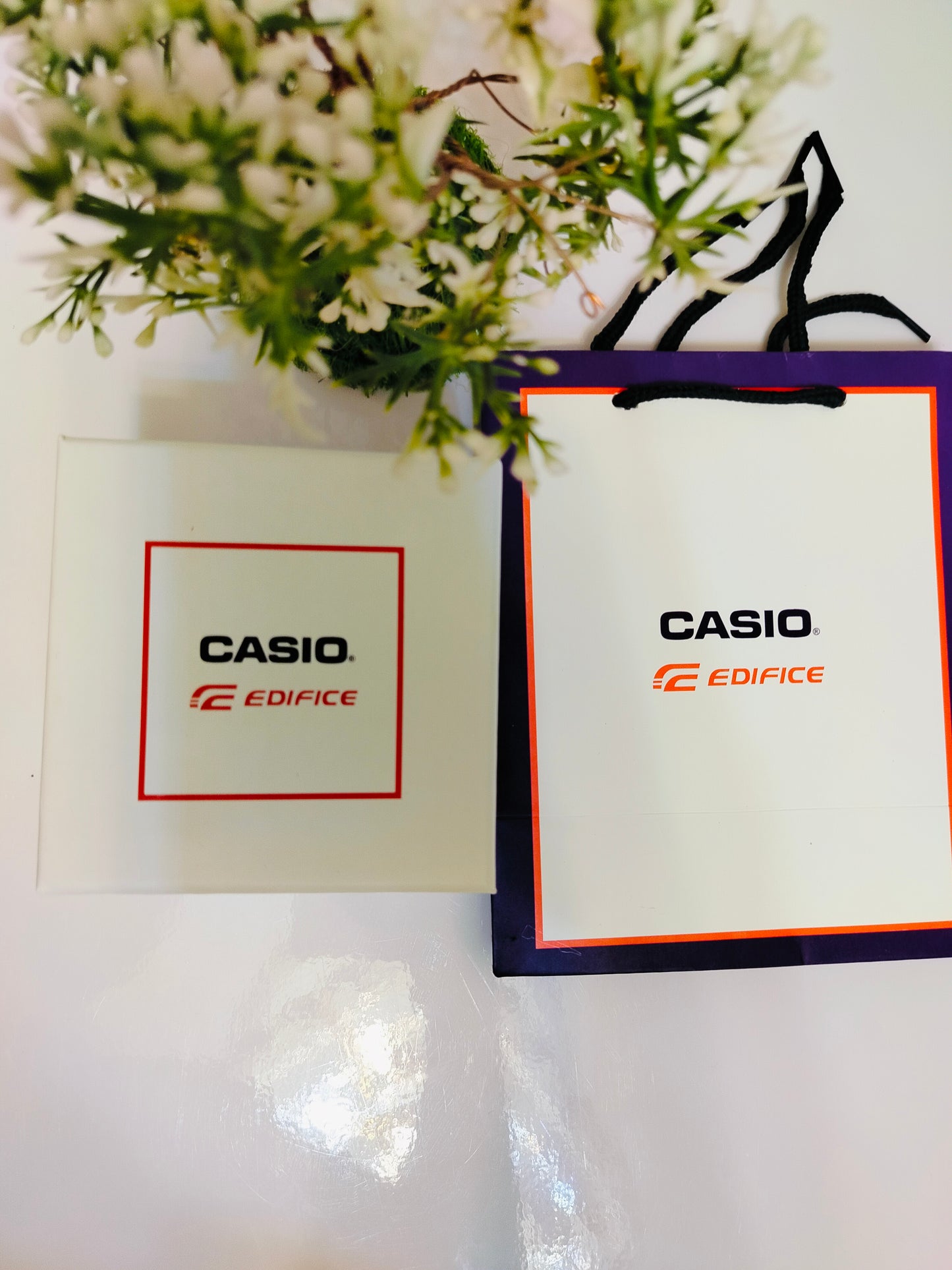 casio (quartz)